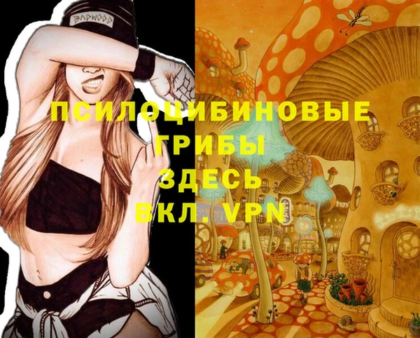 МДМА Костерёво